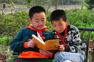 缓解学习压力的简单技巧