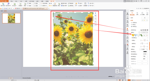 PPT插入图片时给图片加轮廓描边颜色