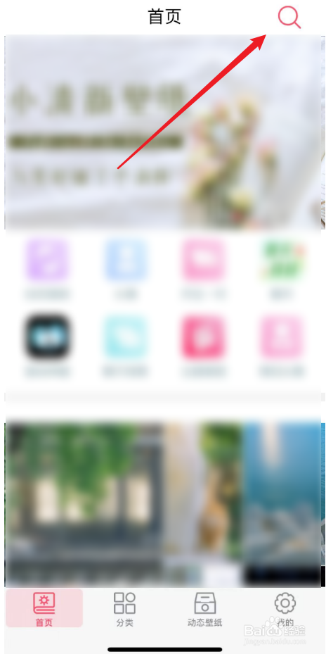 手机背景图片全屏可爱