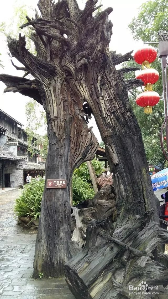 五一出行,成都周边黄龙溪