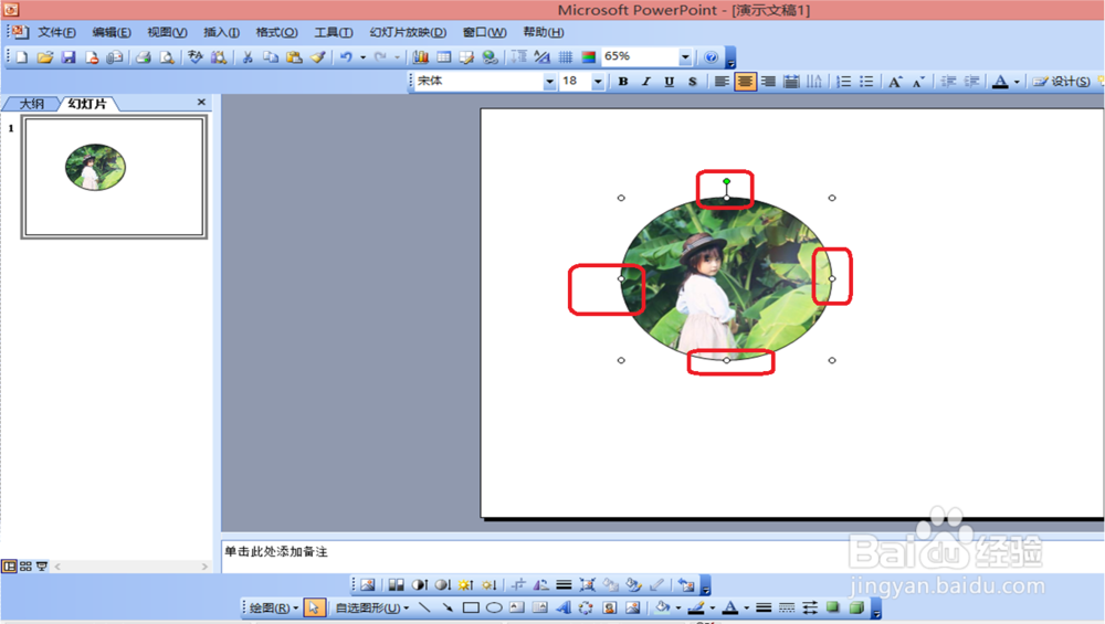 2003ppt中，怎样把图片剪裁成椭圆形？