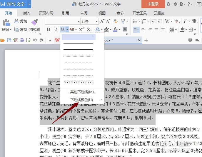 word文档下划线不显示
