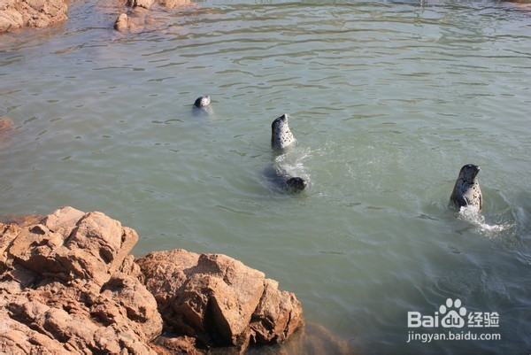 美丽海边山东威海旅游攻略，海岛、沙滩