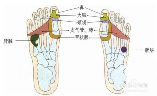 宝宝咳嗽小二推拿如何调理