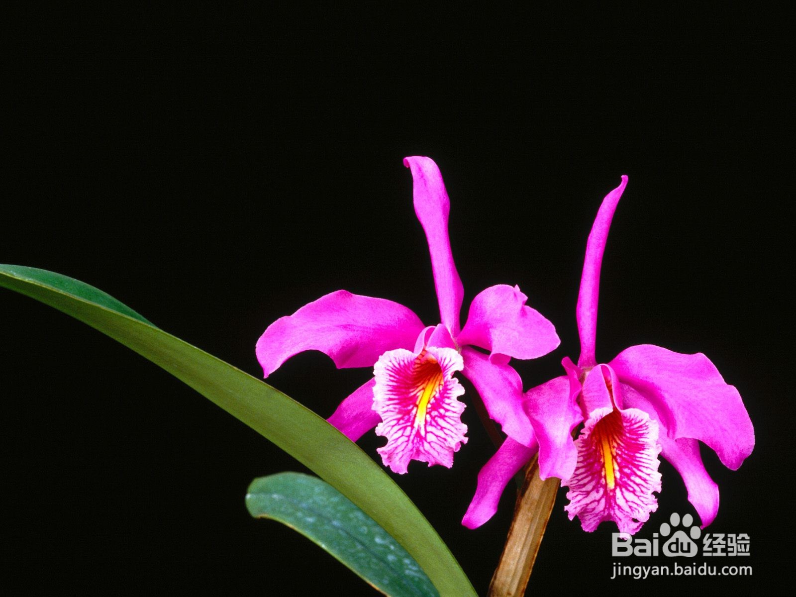 y=√sin6x函数的性质归纳