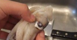 盛夏肥美时节——芫爆鱿鱼卷