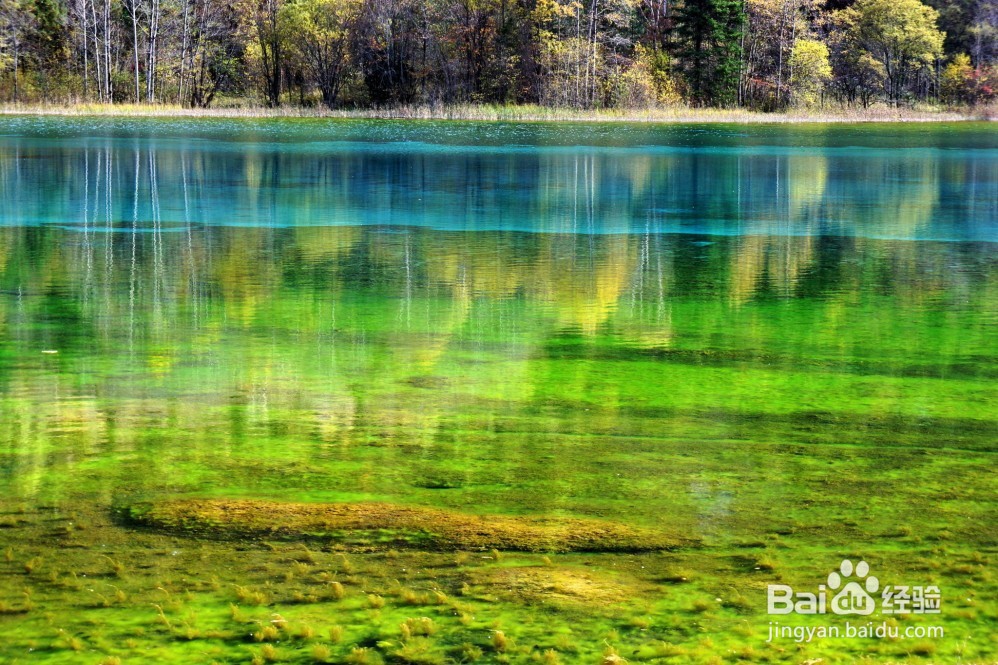 四川九寨沟、黄龙3天2夜旅游攻略