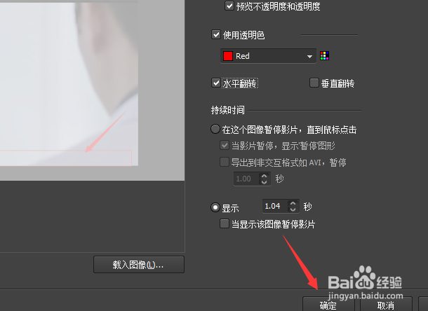BB FlashBack在视频图像怎么水平翻转