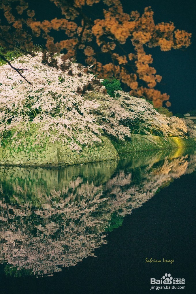 日本，霓虹国走花路