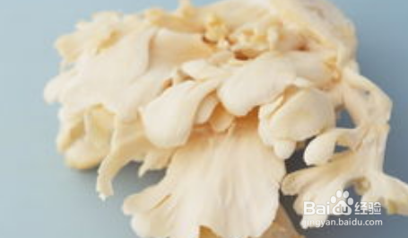 平菇在冰箱里长了白毛