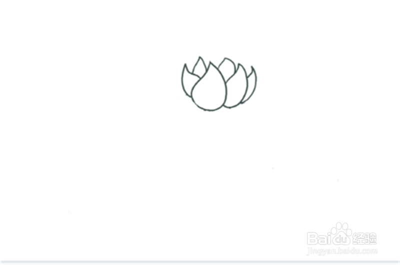 简笔画--荷花