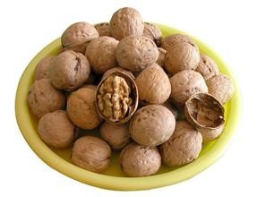 缓解及治疗支气管炎