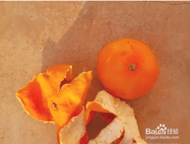 橘子该如何保存？食用有什么好处与禁忌？来看看