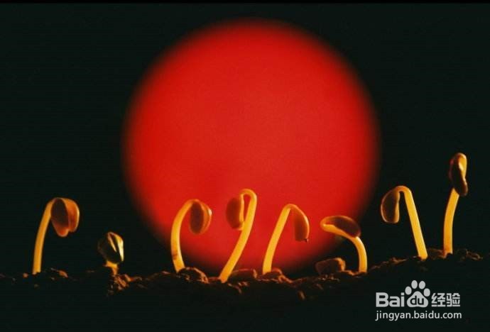 如何保持好的生活态度和健康的身体