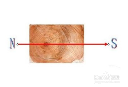 如何在泥水中分辨方向
