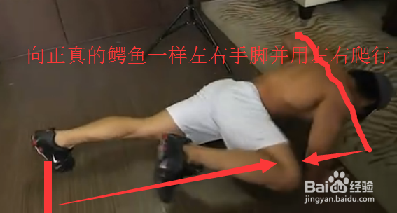 6大锻炼俯卧撑的完美方式