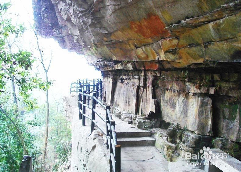 重庆到张家界自助游