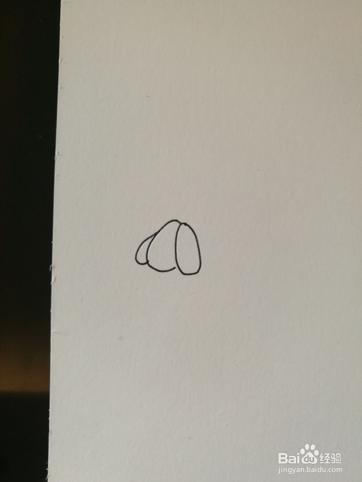 小狗的简笔画