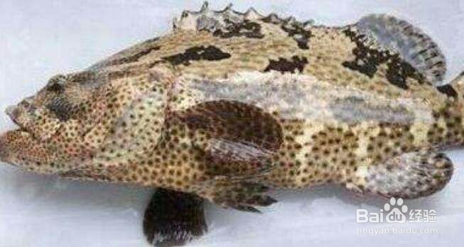 新手海钓注意事项