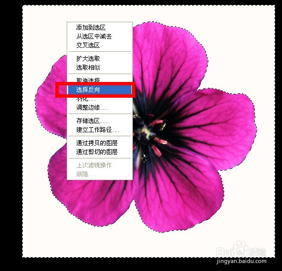 PS快速入门：[3]套索与魔棒