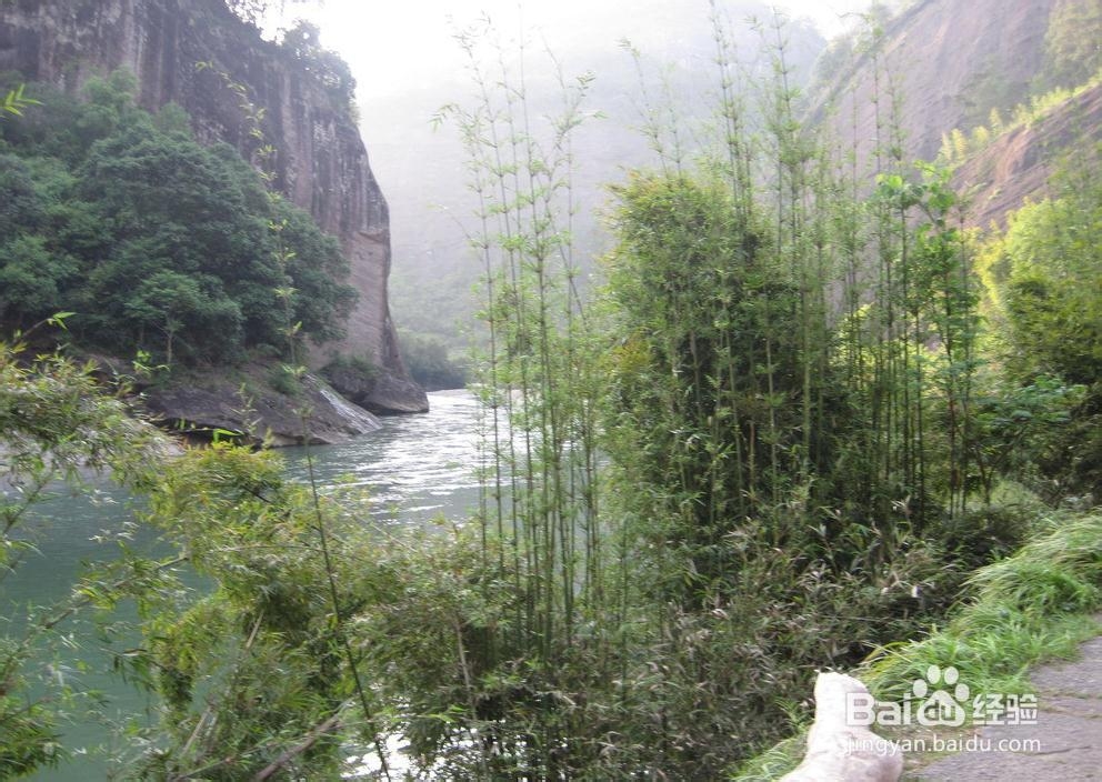 暑假自由行：[32]武夷山一日游旅游攻略指南