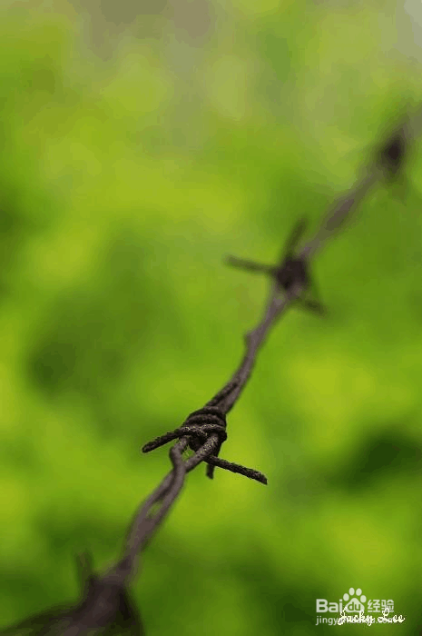 拍照时光圈与景深控制