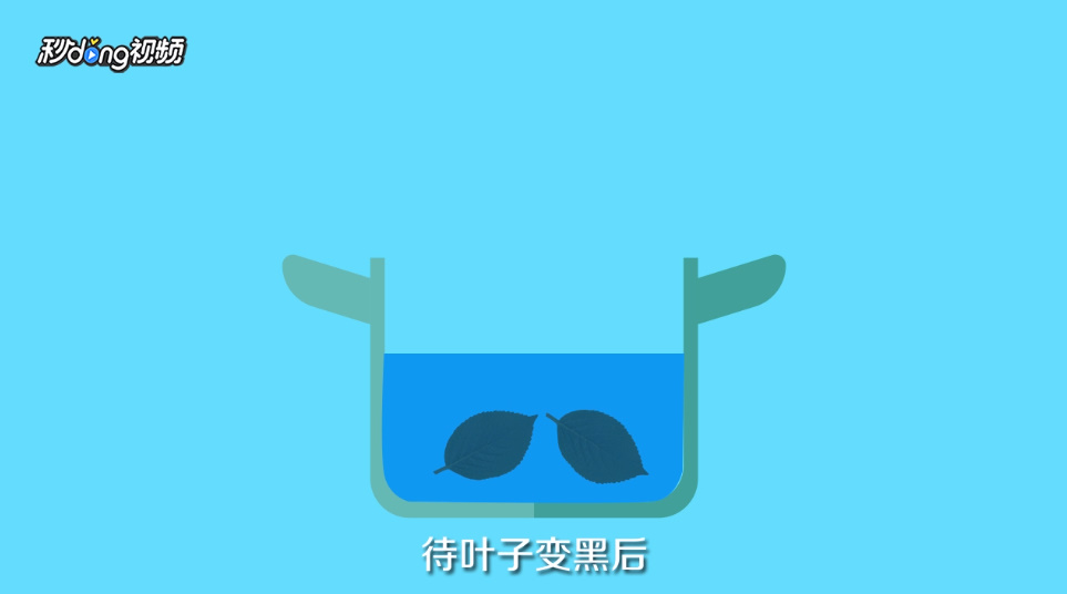 如何自制叶脉书签