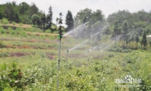 村干部应该怎样治理、发展农村