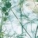 考公务员不得不知的问题11