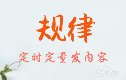 如何优化网站排名