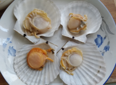 买现成的蒜蓉粉丝扇贝的做法