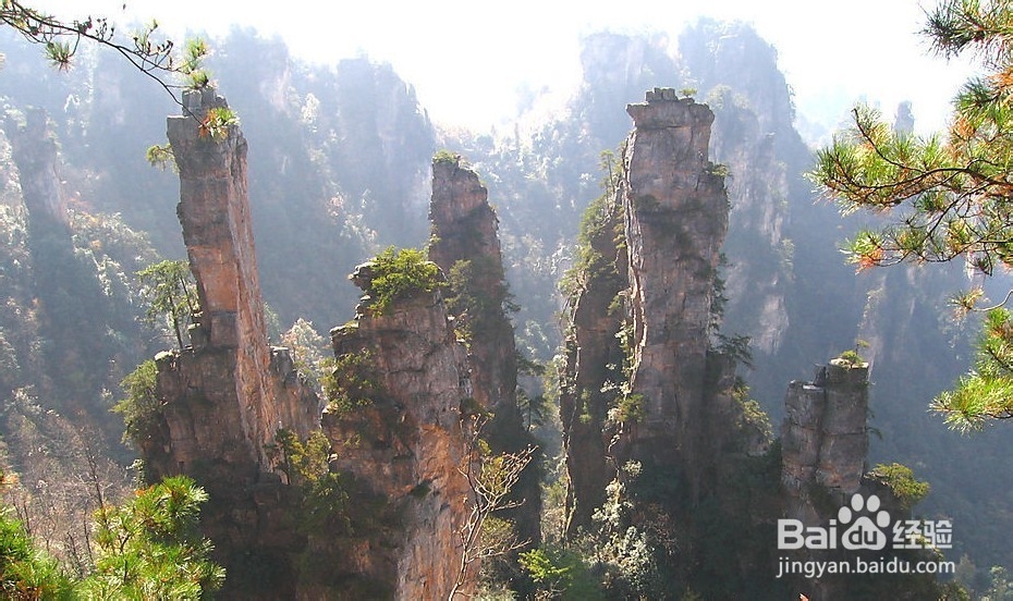 张家界自助游网站