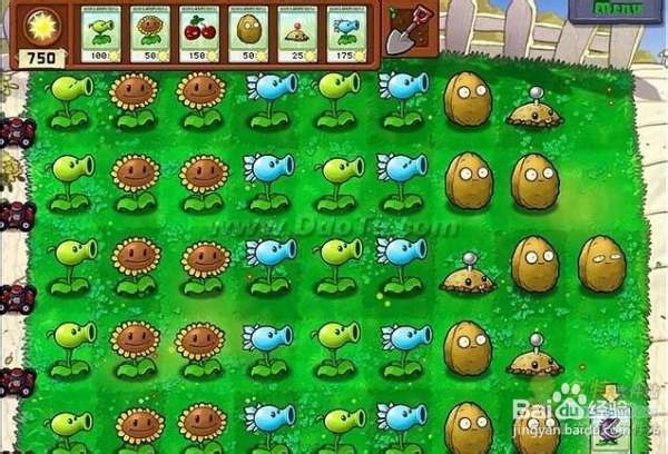 《植物大战僵尸》第一大关详细流程攻略