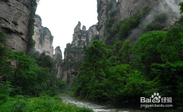 舟山到张家界自驾游