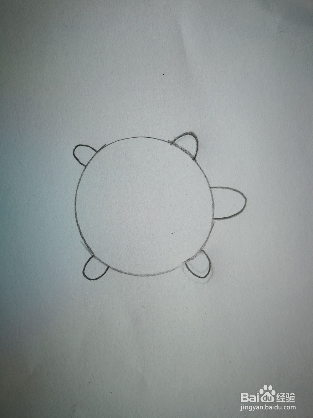 幼儿园作业:给你一个圆形,可以画出什么图画?
