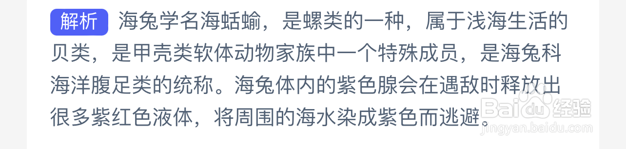 海蛞蝓是什么类型的动物