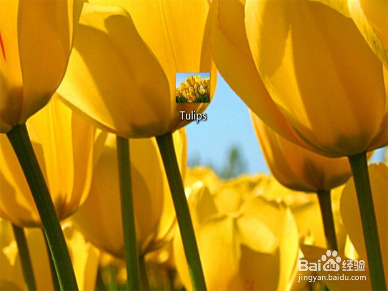 如何将照片设置成电脑桌面