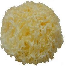 夏季DIY美丽面膜：[13]珍珠粉透白面膜