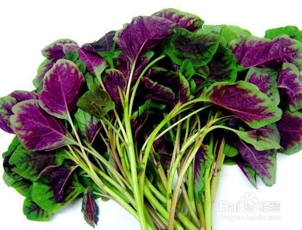 吃苋菜可以减肥吗 夏季别错过4款苋菜减肥食谱
