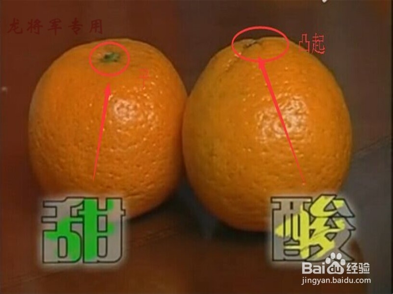 教你怎么挑选橘子
