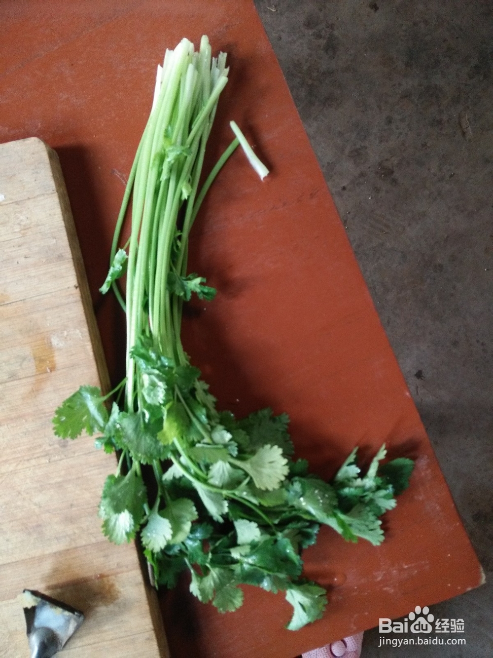 清炖鲜美鲤鱼高汤