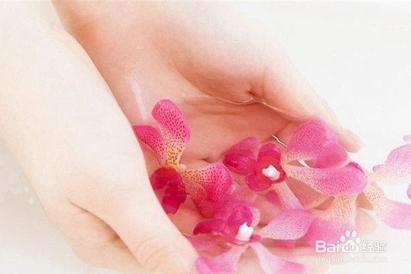 怎么用橄榄油进行美容