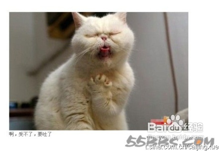 春节快速发送节日短信