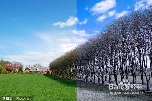 ps基础教程-ps制作唯美的红外摄影效果