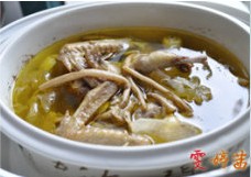 白莲茶树菇乳鸽汤