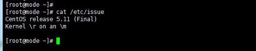 linux的cat命令使用