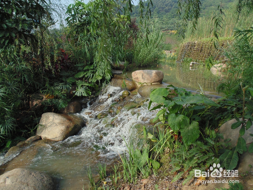 如何到公园免费玩呢