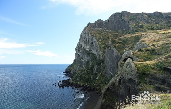 韩国常规的四飞五天游
