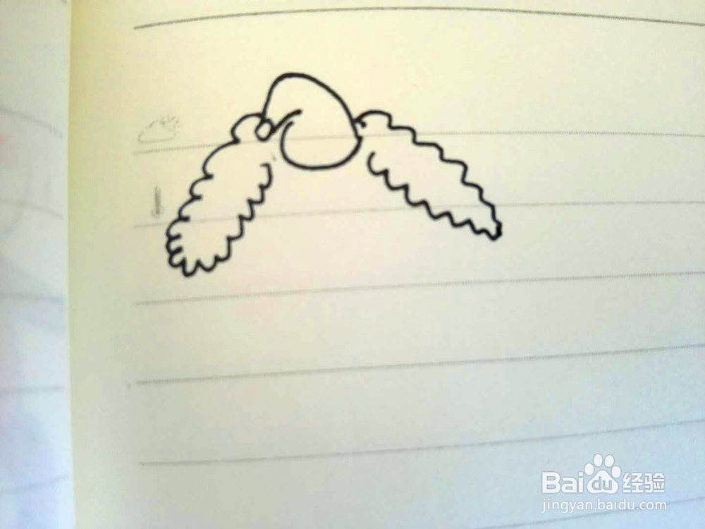 小绵羊的简笔画画法