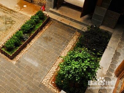 怎样让一个院子没蚊子